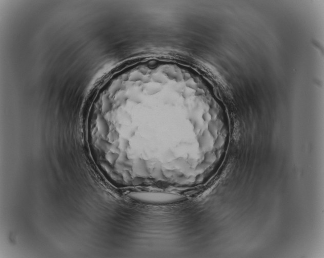 X0000091241172200708301532