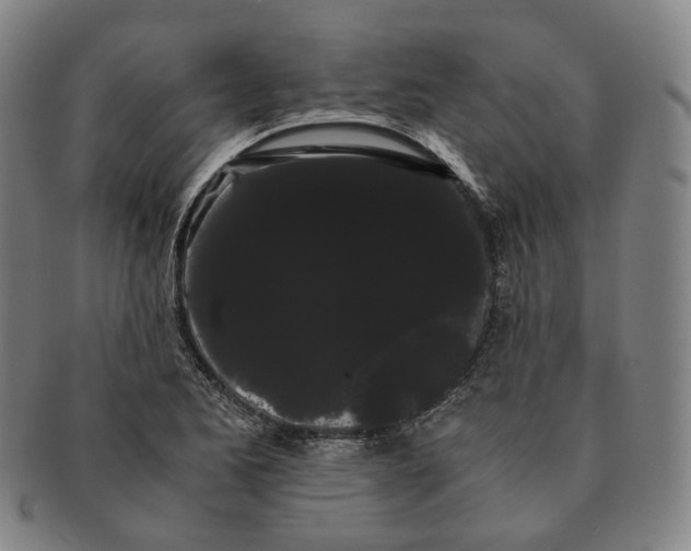 X0000091241173200708301532