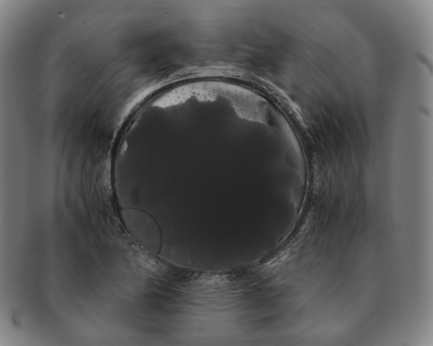 X0000091241174200708301532