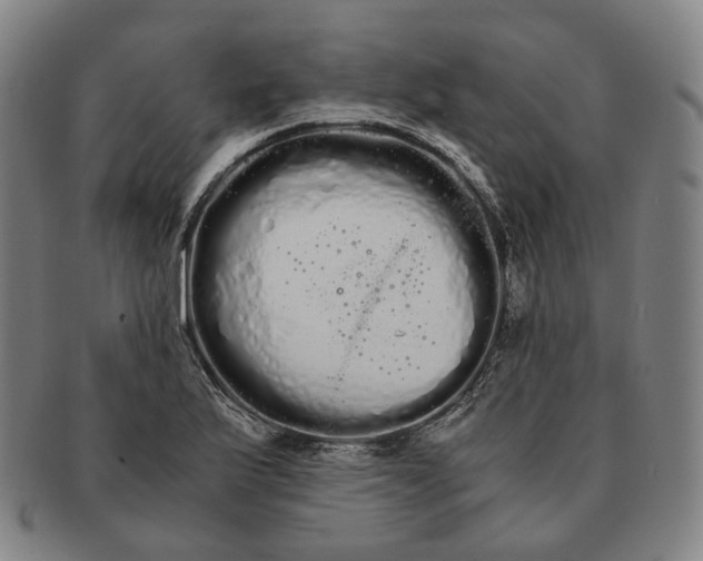 X0000091241175200708301532