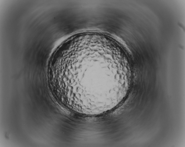 X0000091241176200708301532