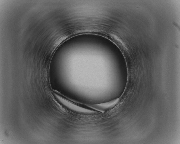 X0000091241177200708301532