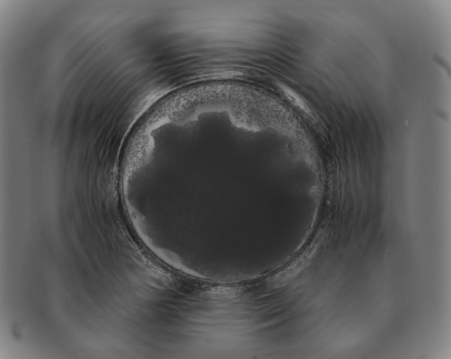 X0000091241178200708301532