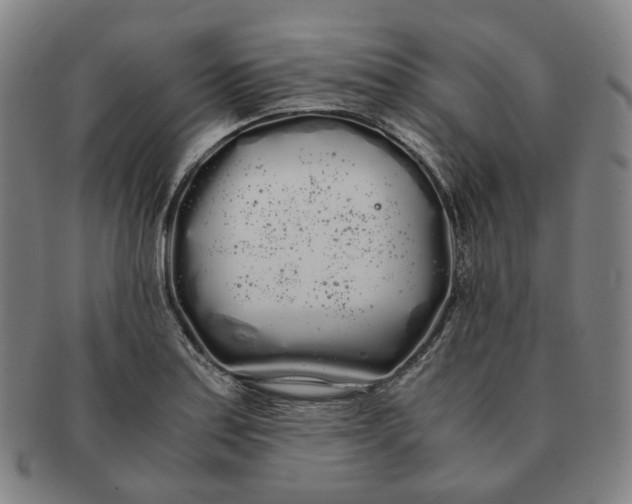 X0000091241179200708301531