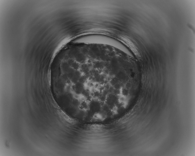 X0000091241180200708301531