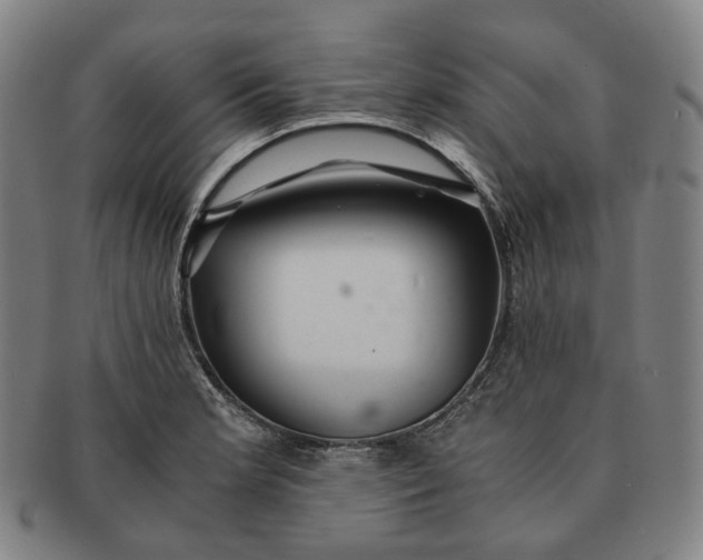 X0000091241181200708301531