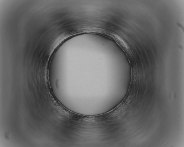 X0000091241182200708301531