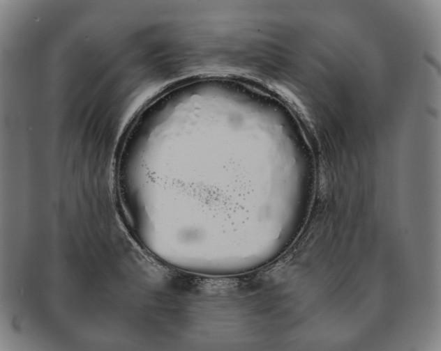 X0000091241183200708301531