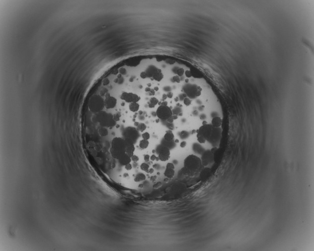 X0000091241184200708301531