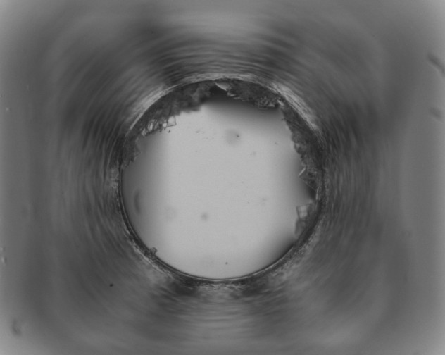 X0000091241185200708301531