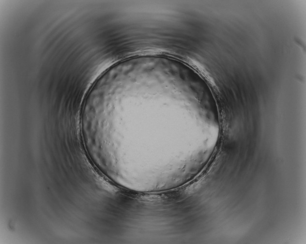 X0000091241186200708301531