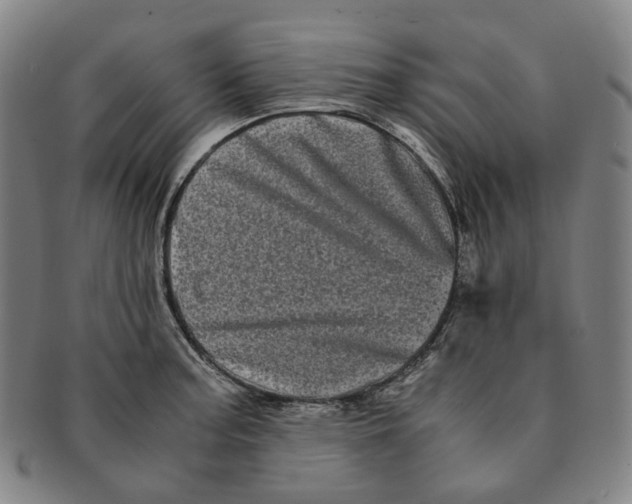 X0000091241187200708301531