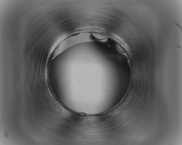 X0000091241188200708301531