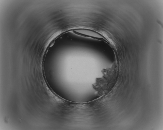 X0000091241189200708301531