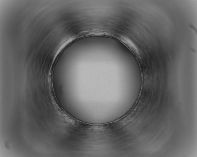 X0000091241190200708301531