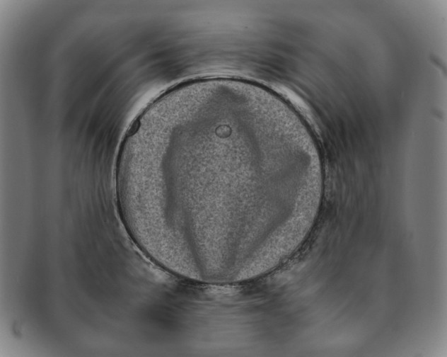 X0000091241191200708301531