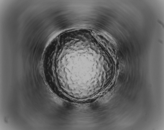 X0000091241192200708301531