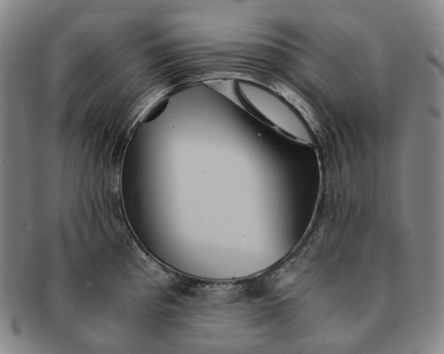 X0000091241193200708301531