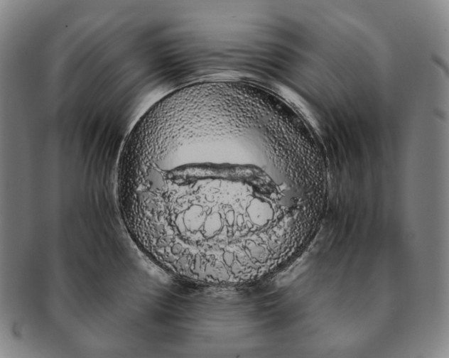 X0000091241194200708301531