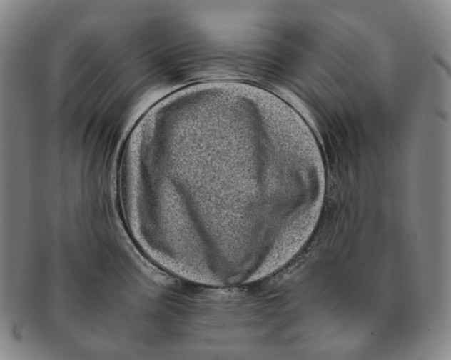 X0000091241195200708301531