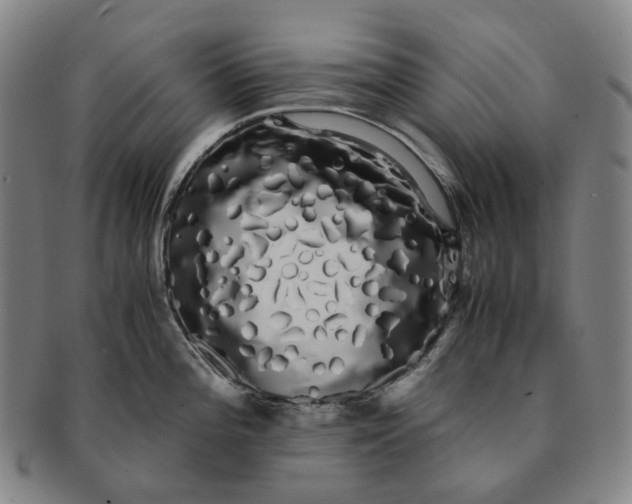 X0000091241196200708301531