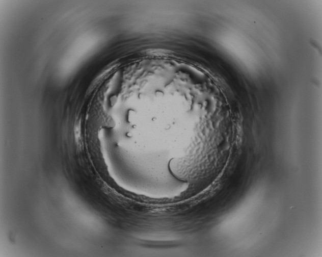 X0000091241198200708301531