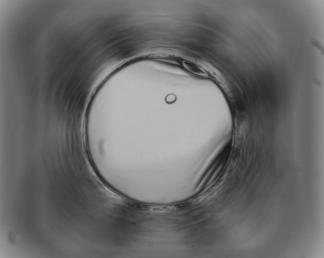 X0000091241199200708301531