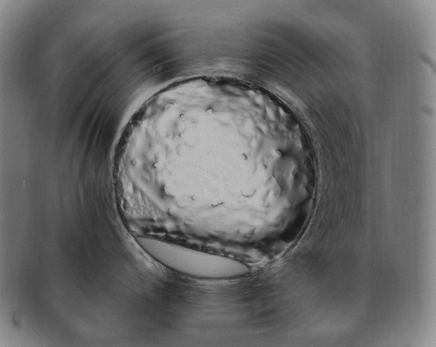 X0000091241200200708301531