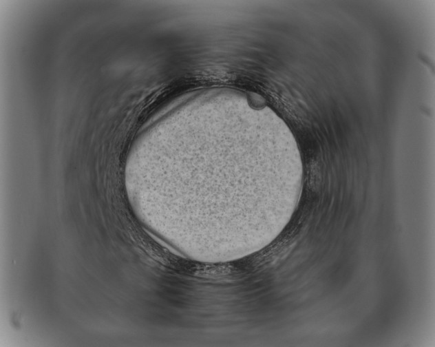 X0000091241201200708301531