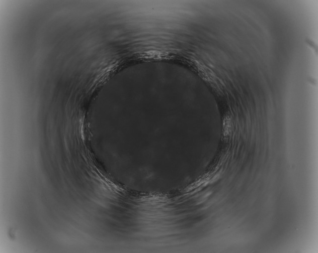 X0000091241202200708301531