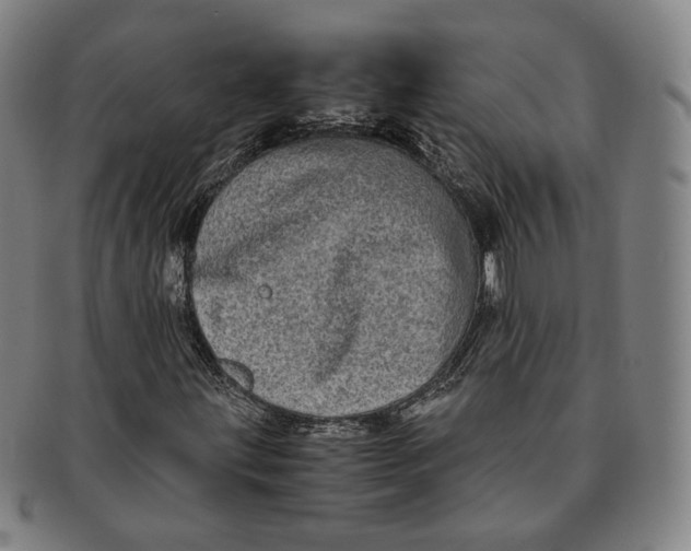 X0000091241203200708301531