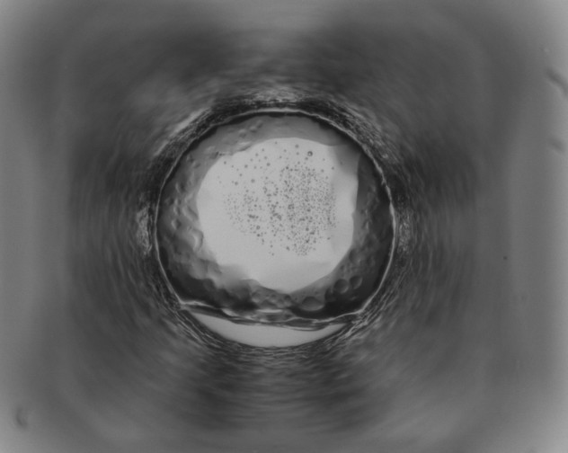 X0000091241205200708301531