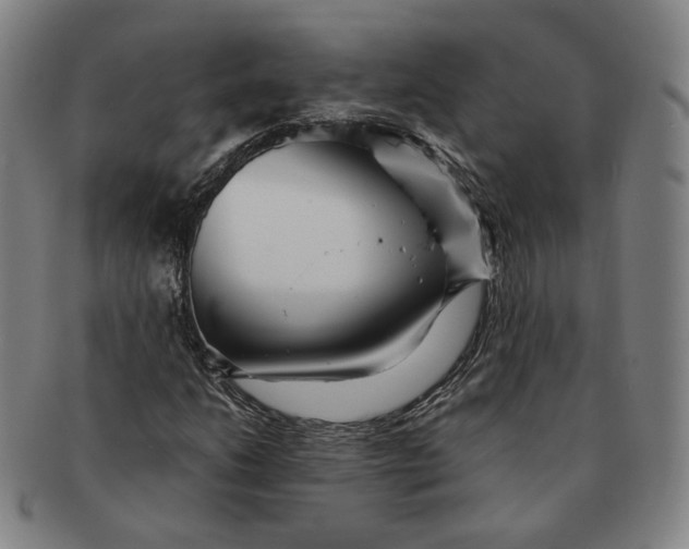 X0000091241206200708301531