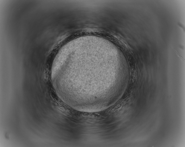 X0000091241207200708301531