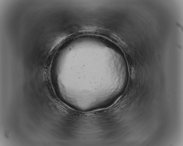 X0000091241208200708301531