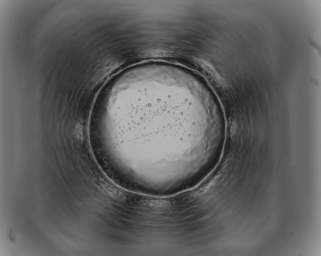 X0000091241209200708301531