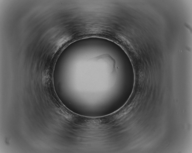 X0000091241210200708301531