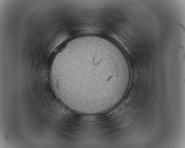 X0000091241211200708301531