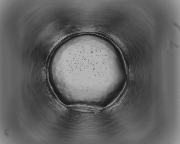 X0000091241212200708301531