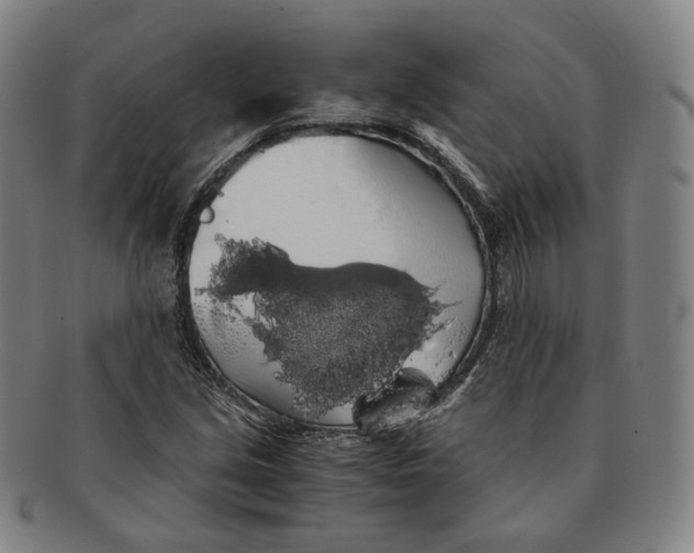 X0000091241213200708301531