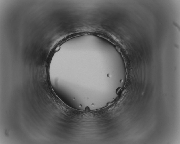 X0000091241214200708301531