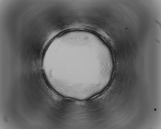 X0000091241216200708301531