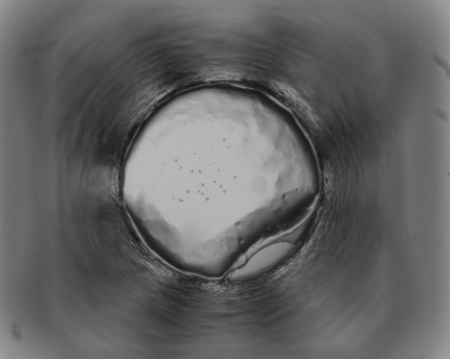 X0000091241217200708301531