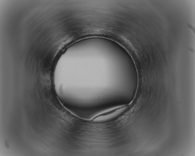 X0000091241218200708301531