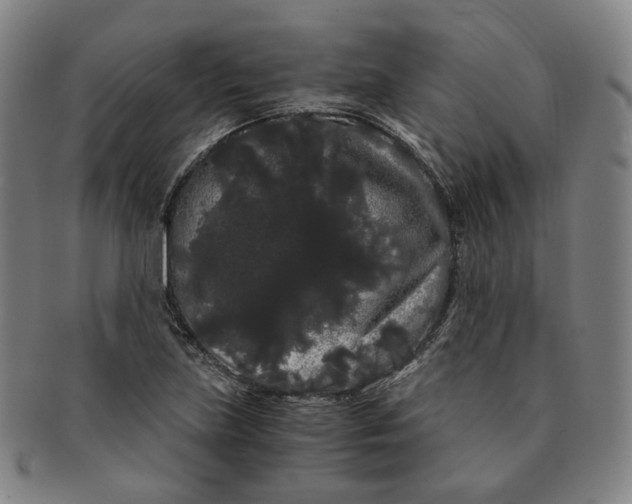 X0000091241219200708301531