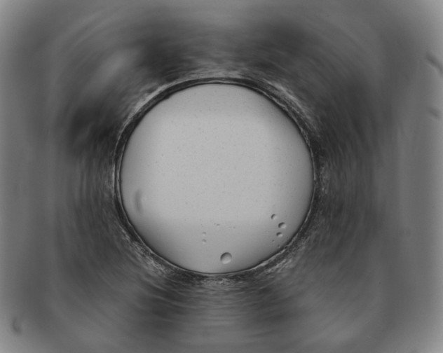 X0000091241220200708301531