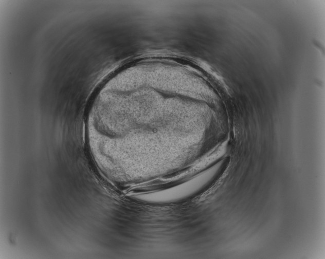 X0000091241221200708301531