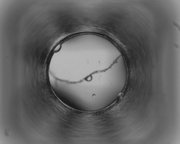 X0000091241222200708301531