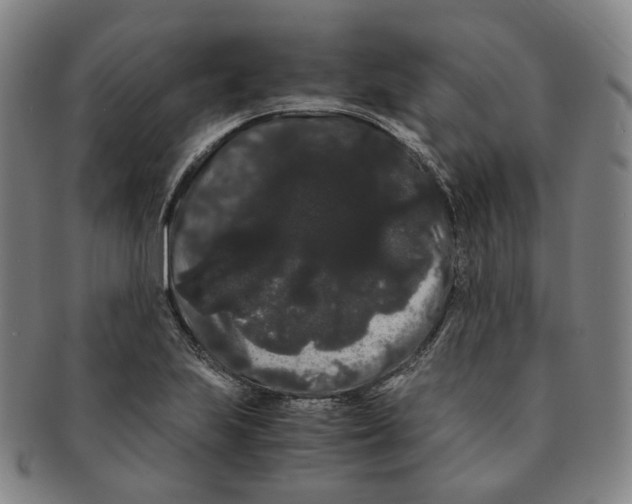 X0000091241223200708301531