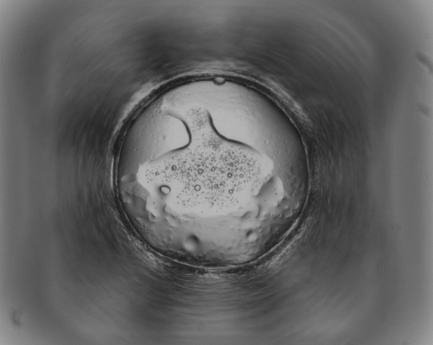 X0000091241224200708301531